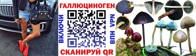 магазин продажи   Радужный  Псилоцибиновые грибы ЛСД 