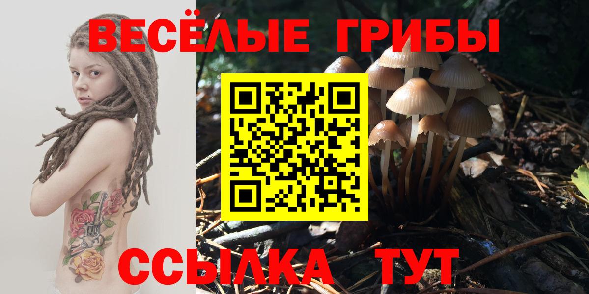 Радужный  Псилоцибиновые грибы мухоморы  Вход с VPN 